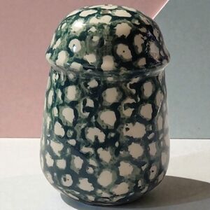 1 Vtg Salt or Pepper Shaker Green Sponge Ceramic 3 Hole Apple Or Moose Country